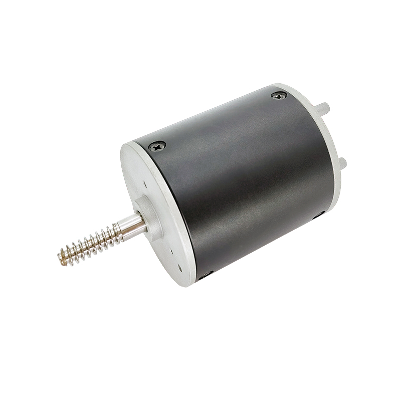 24V 36V BL6070 Brushless Motor Para sa Mga Machines ng Kape at Bean Grinders